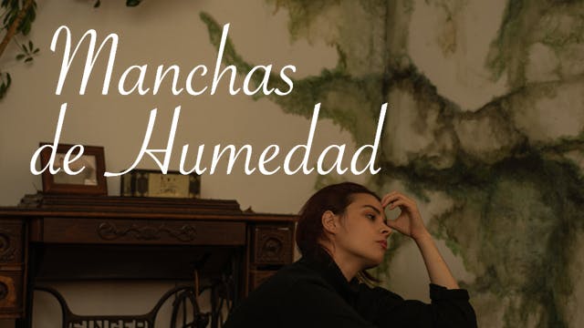 Manchas de humedad