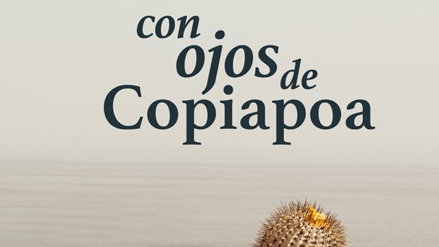 CON OJOS DE COPIAPOA