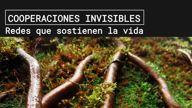 COOPERACIONES INVISIBLES; redes que sostienen la vida