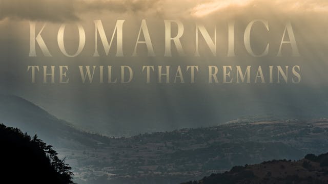 KOMARNICA
