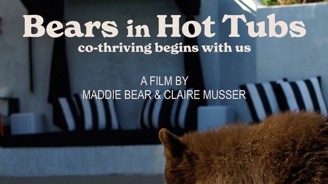 BEARS IN HOT TUBS