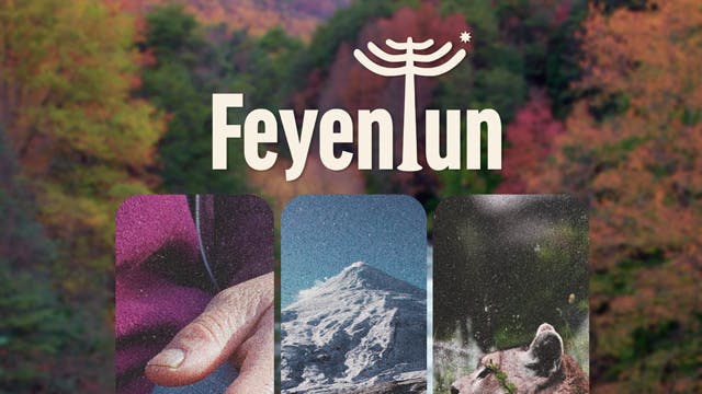 FEYENTUN