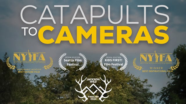 CATAPULTS TO CAMERAS