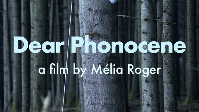 DEAR PHONOCENE