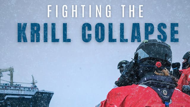 FIGHTING THE KRILL COLLAPSE
