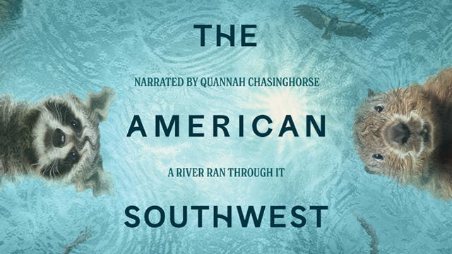 THE AMERICAN SOUTHWEST