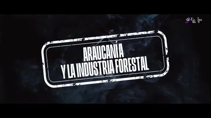Sacrificio Chileno - Araucanía y la industria forestal