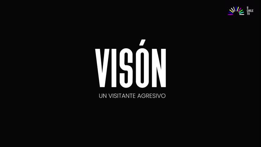 Invasores - Visón