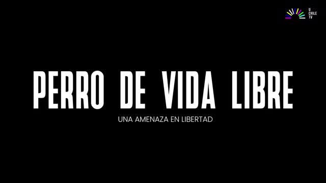 Invasores - Perro de vida libre