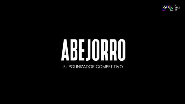 Invasores - Abejorro