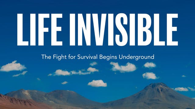 N048 LIFE INVISIBLE