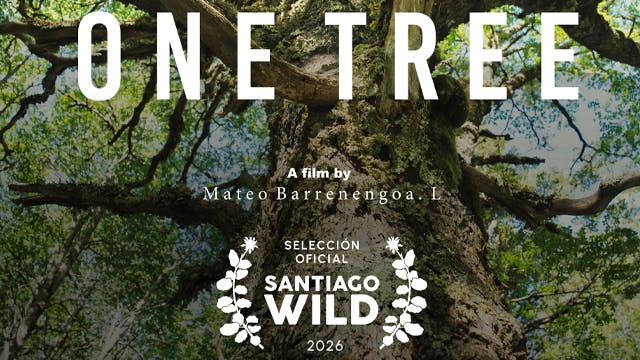 ONE TREE