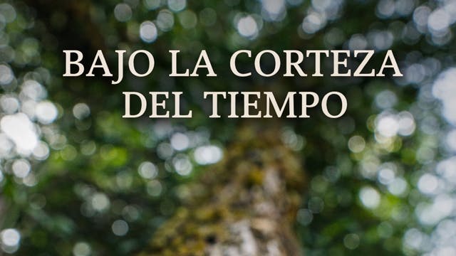 BAJO LA CORTEZA DEL TIEMPO