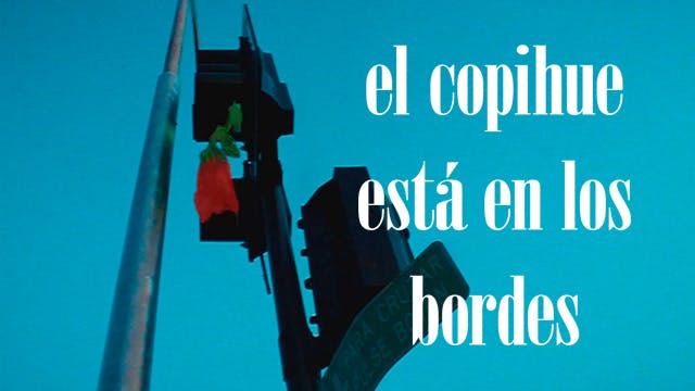 El copihue esta en los bordes