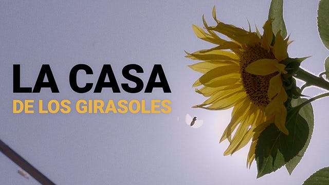 La casa de los girasoles