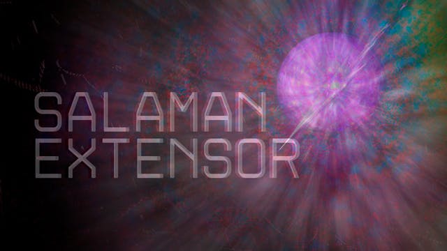 Salaman extensor