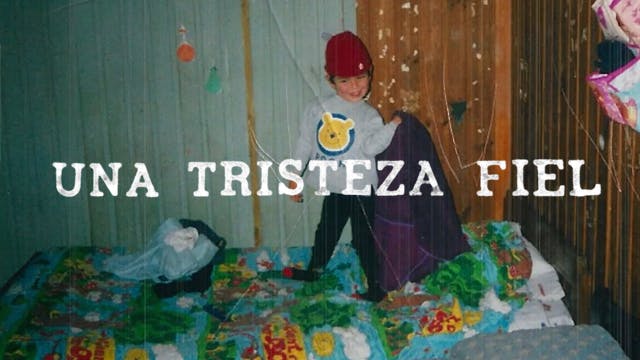 Una tristeza fiel