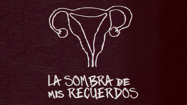 La sombra de mis recuerdos 