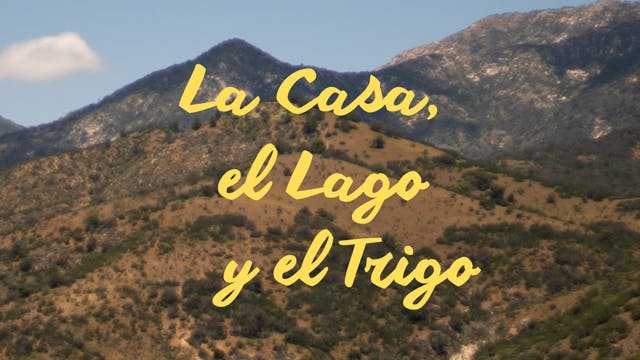 La casa, el lago, y el trigo