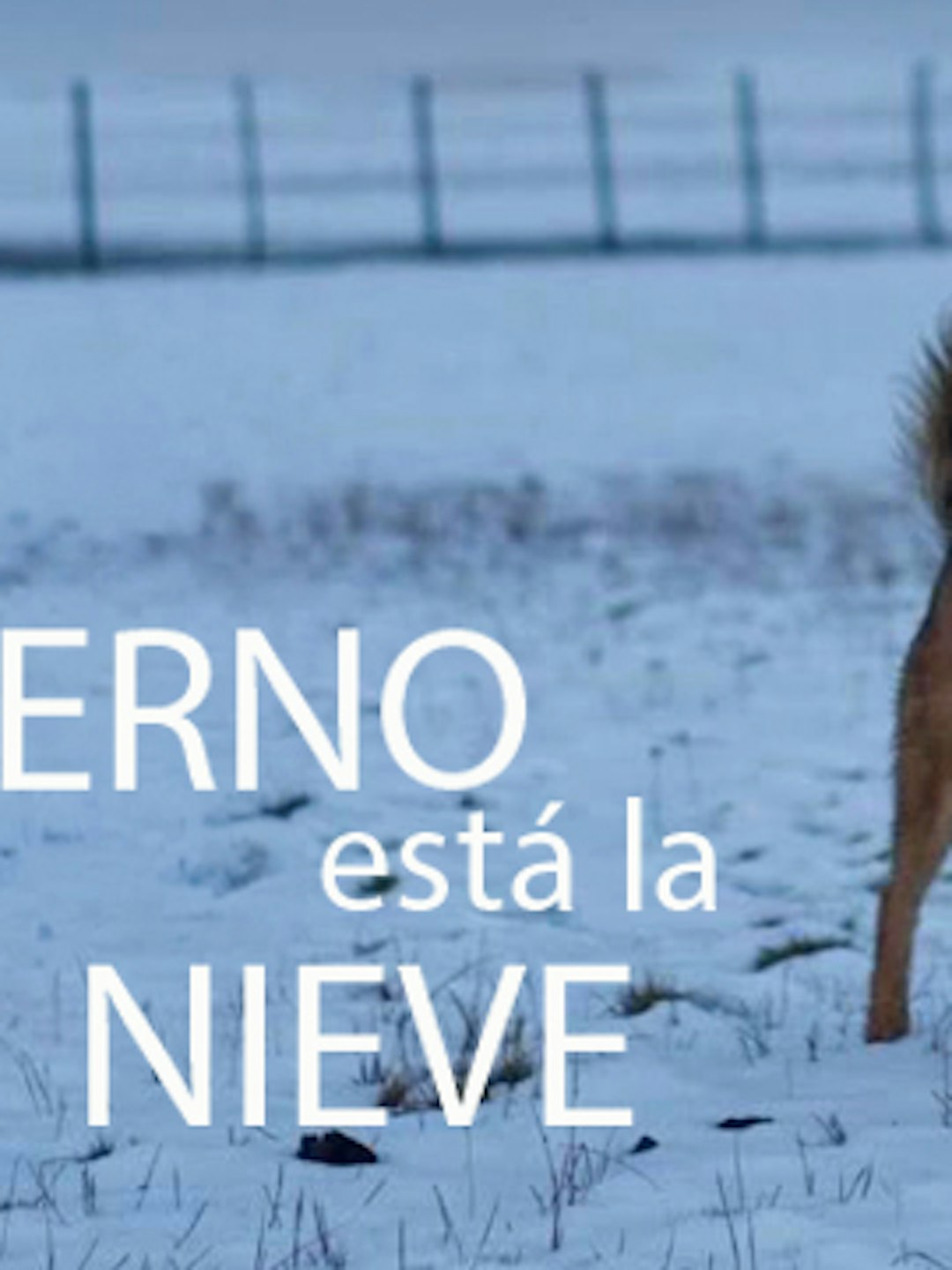 Al sur del invierno está la nieve