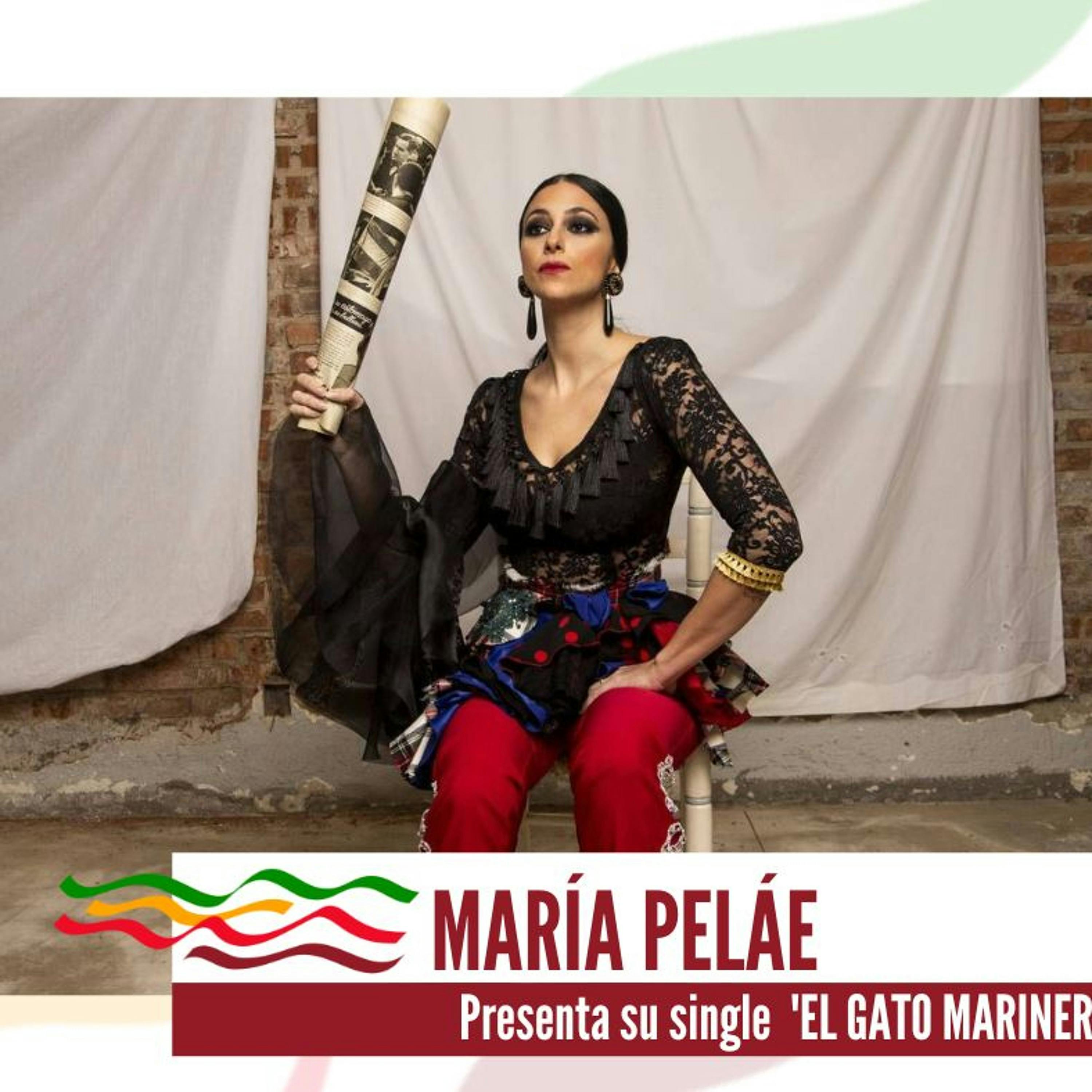 MARÍA PELAÉ nos presenta a un personaje muy curioso "El gato marinero"