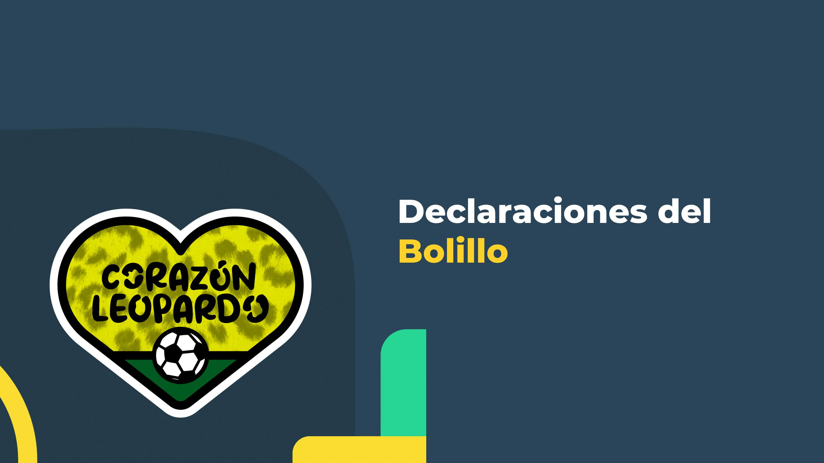 Declaraciones del Bolillo
