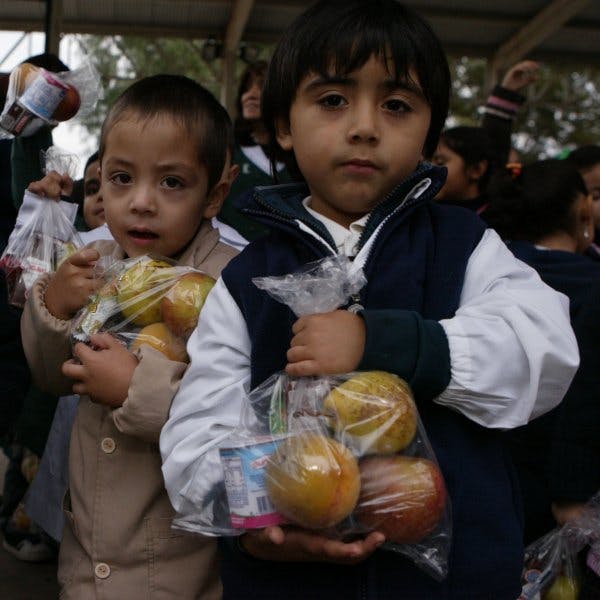 Red de Alimentos: Queremos que no sea opción para las empresas destruir mermas comestibles