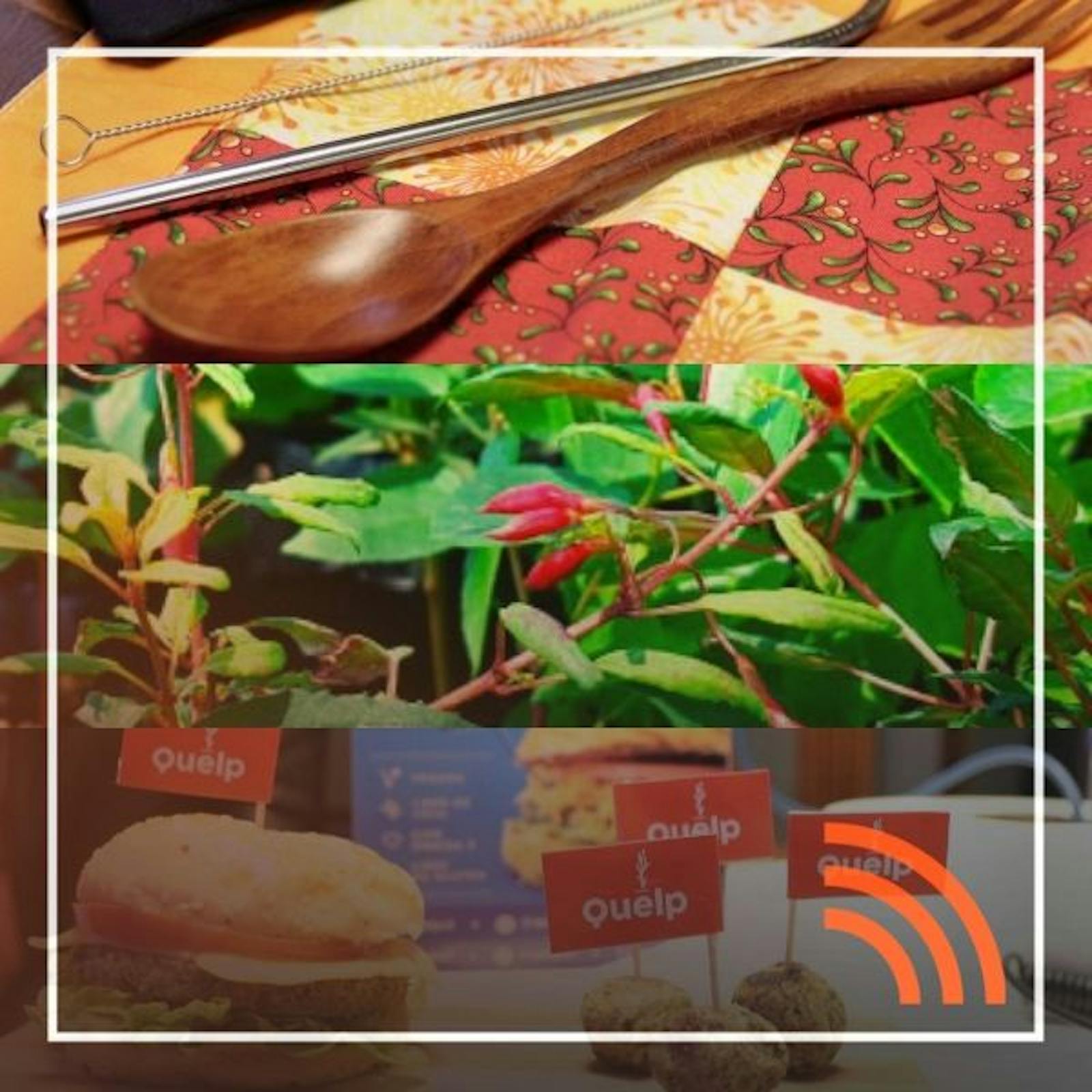 Quelp, Aflora y Bioraíces