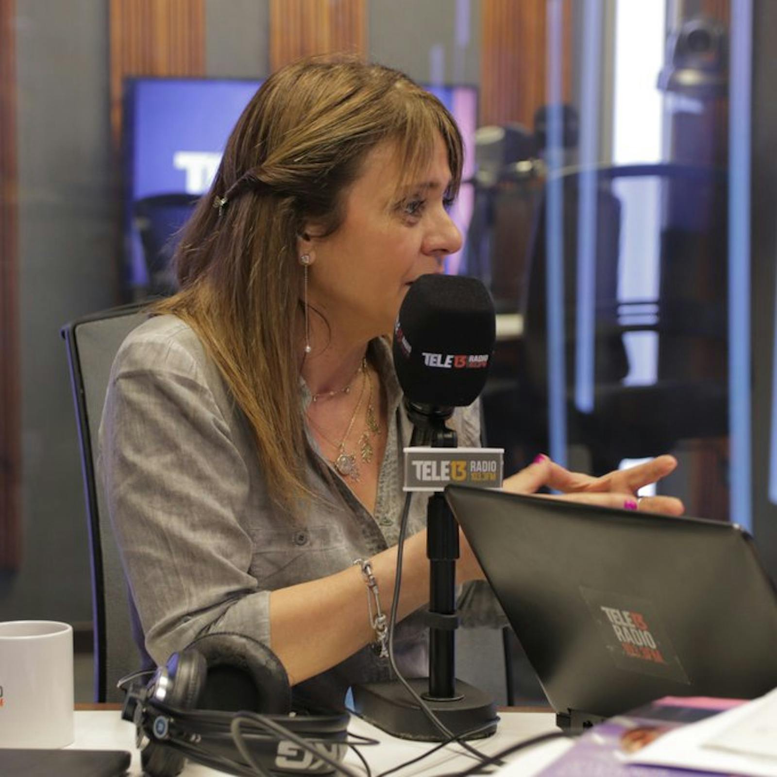 Senadora Van Rysselberghe: "Accedimos a que los independientes puedan hacer pacto y lista. No nos gusta, pero estamos dispuestos a aceptar" episode artwork