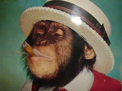 Cigarros