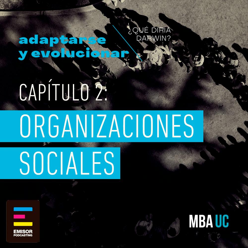 Capítulo 2: Organizaciones Sociales
