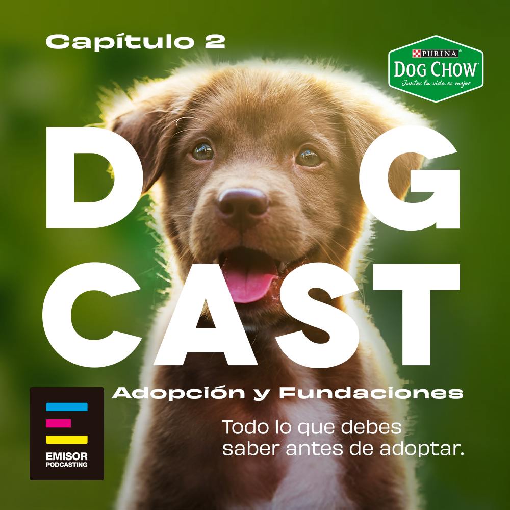 Quiero adoptar a mi próximo mejor amigo ¿Cómo encontrar a mi alma gemela?