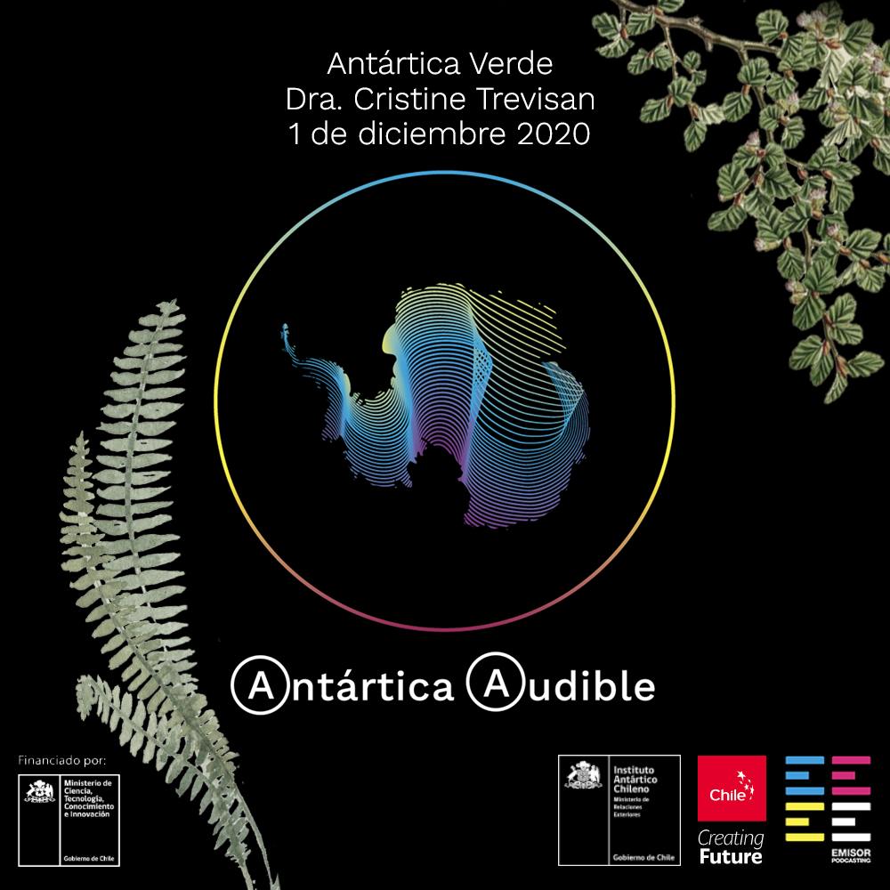 Antártica Verde