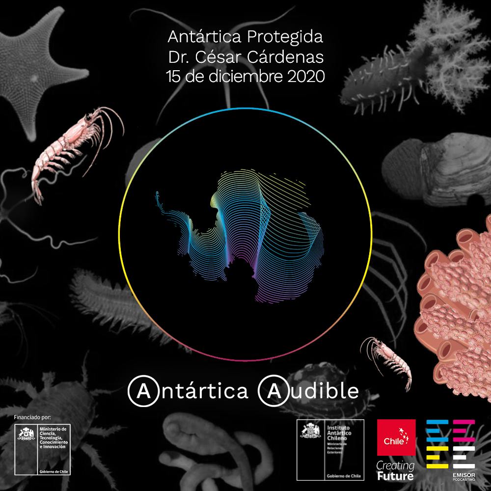Antártica Protegida