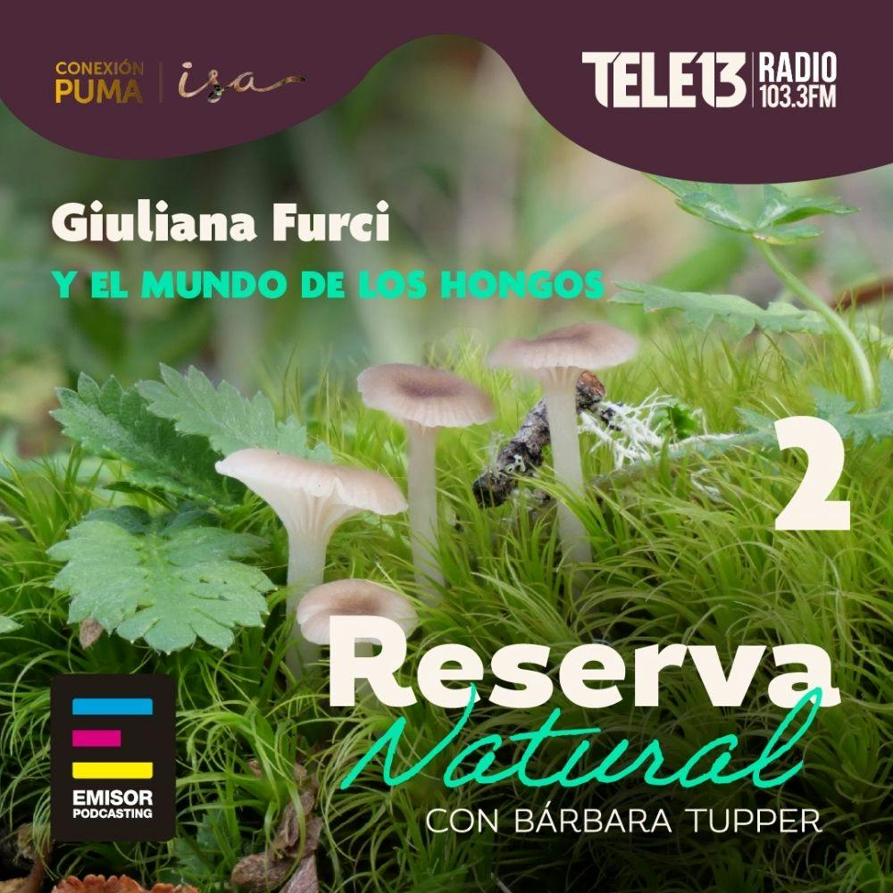 Giuliana Furci y el mundo de los hongos