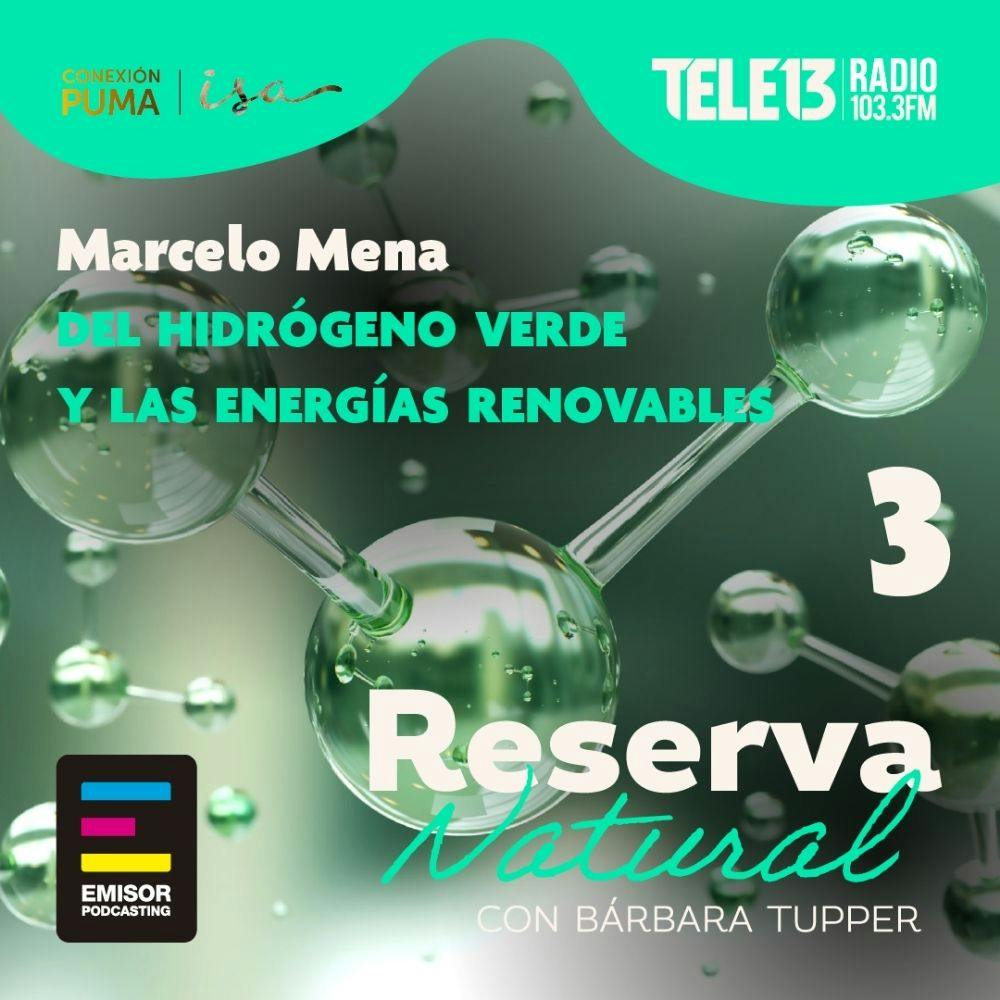 Marcelo Mena sobre el futuro del hidrógeno verde y las energías renovables
