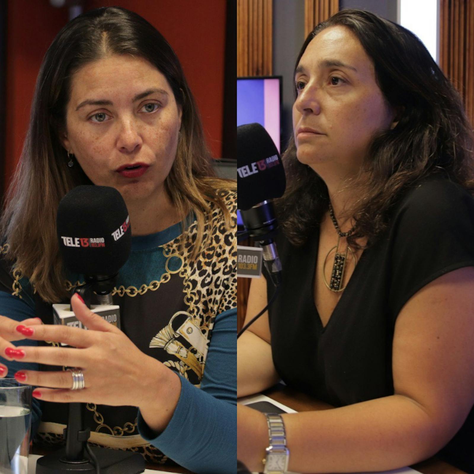 Columnistas Página 13