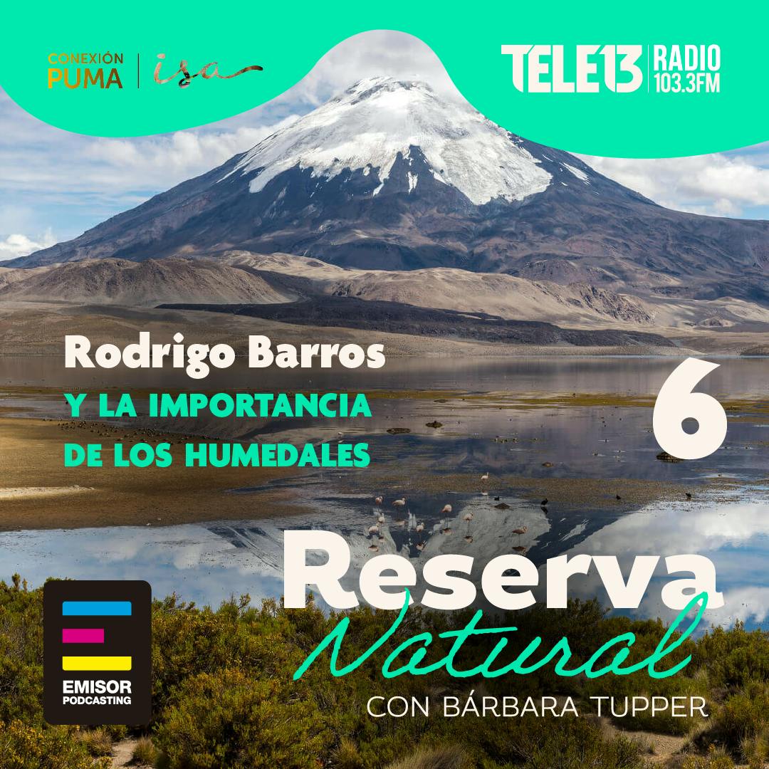 Rodrigo Barros y la importancia de los humedales