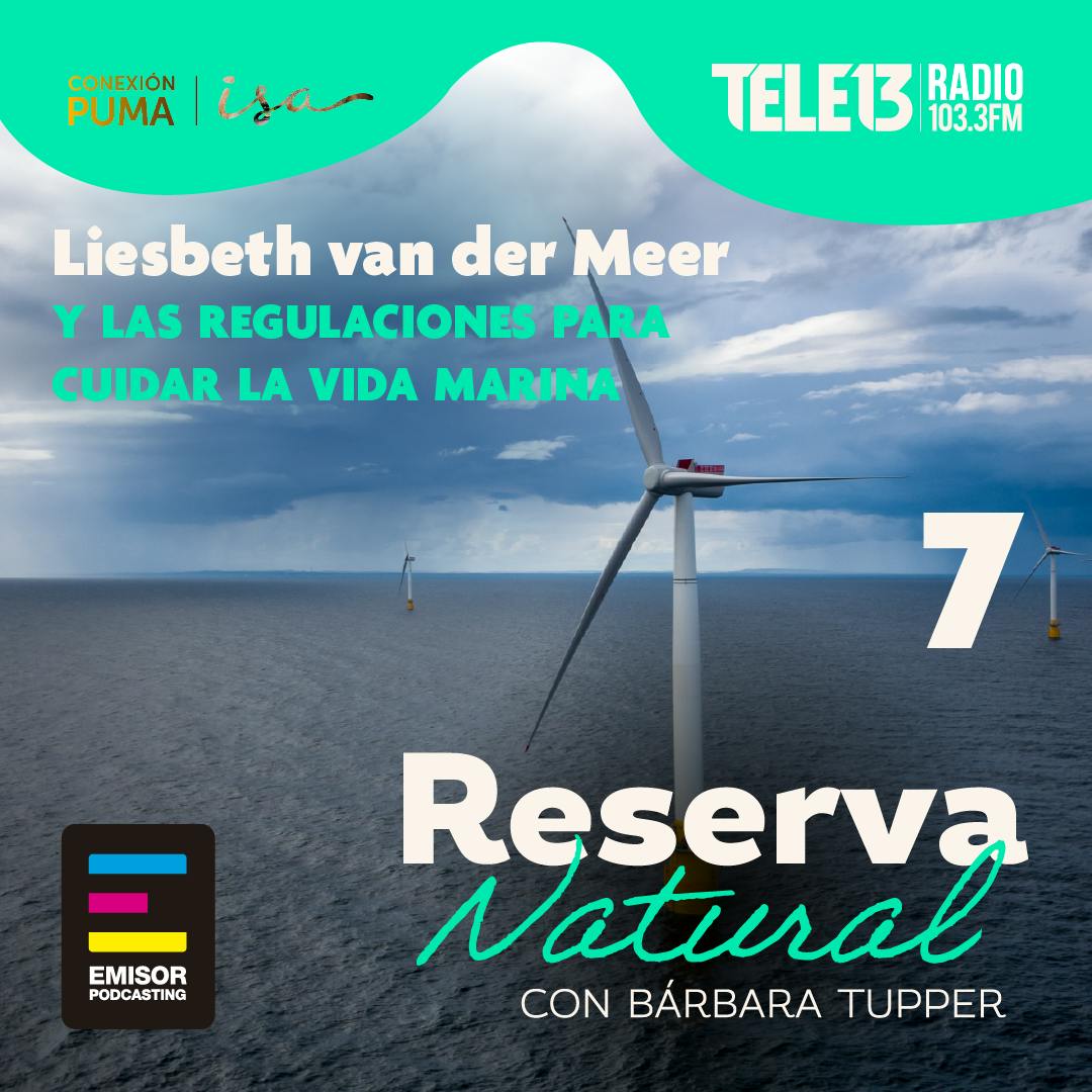 Liesbeth van der Meer y las regulaciones para cuidar la vida marina
