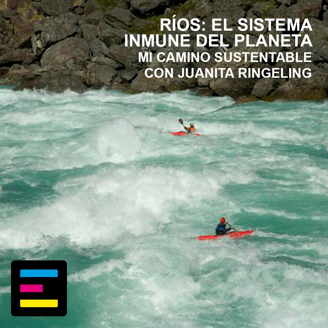 Ríos: El Sistema Inmune del Planeta