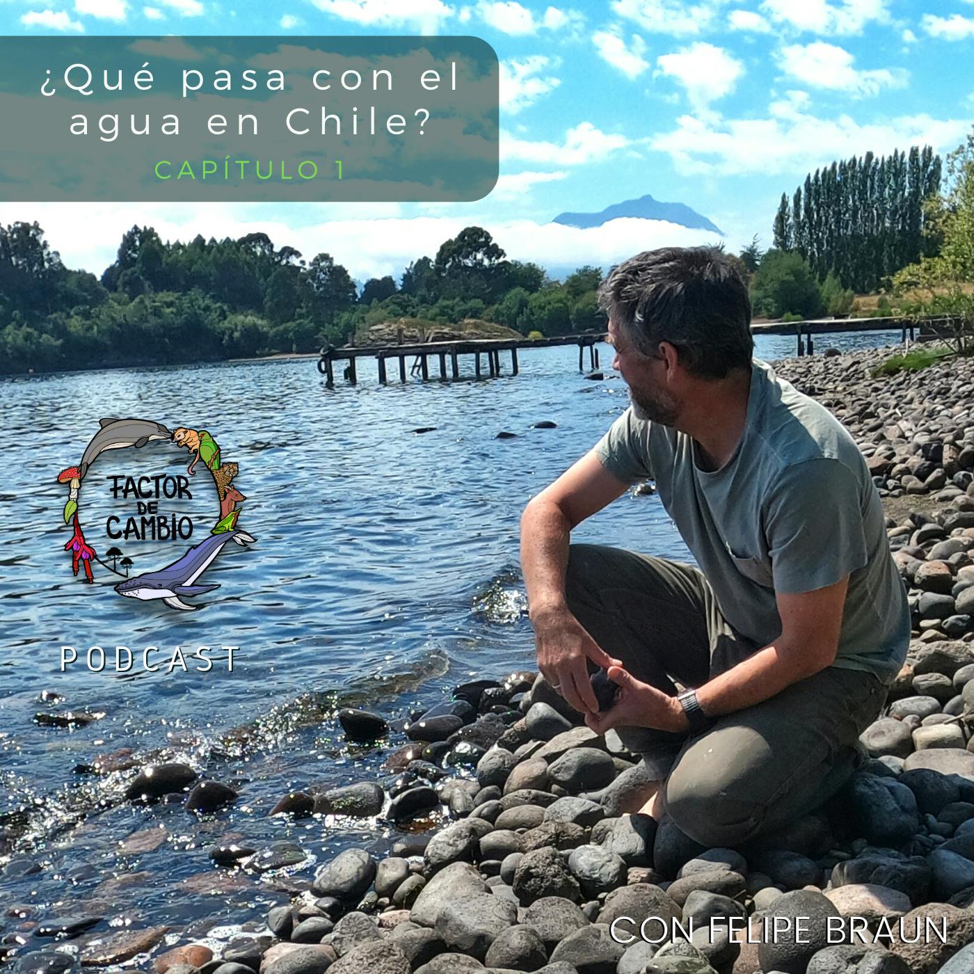 ¿Qué pasa con el agua en Chile?