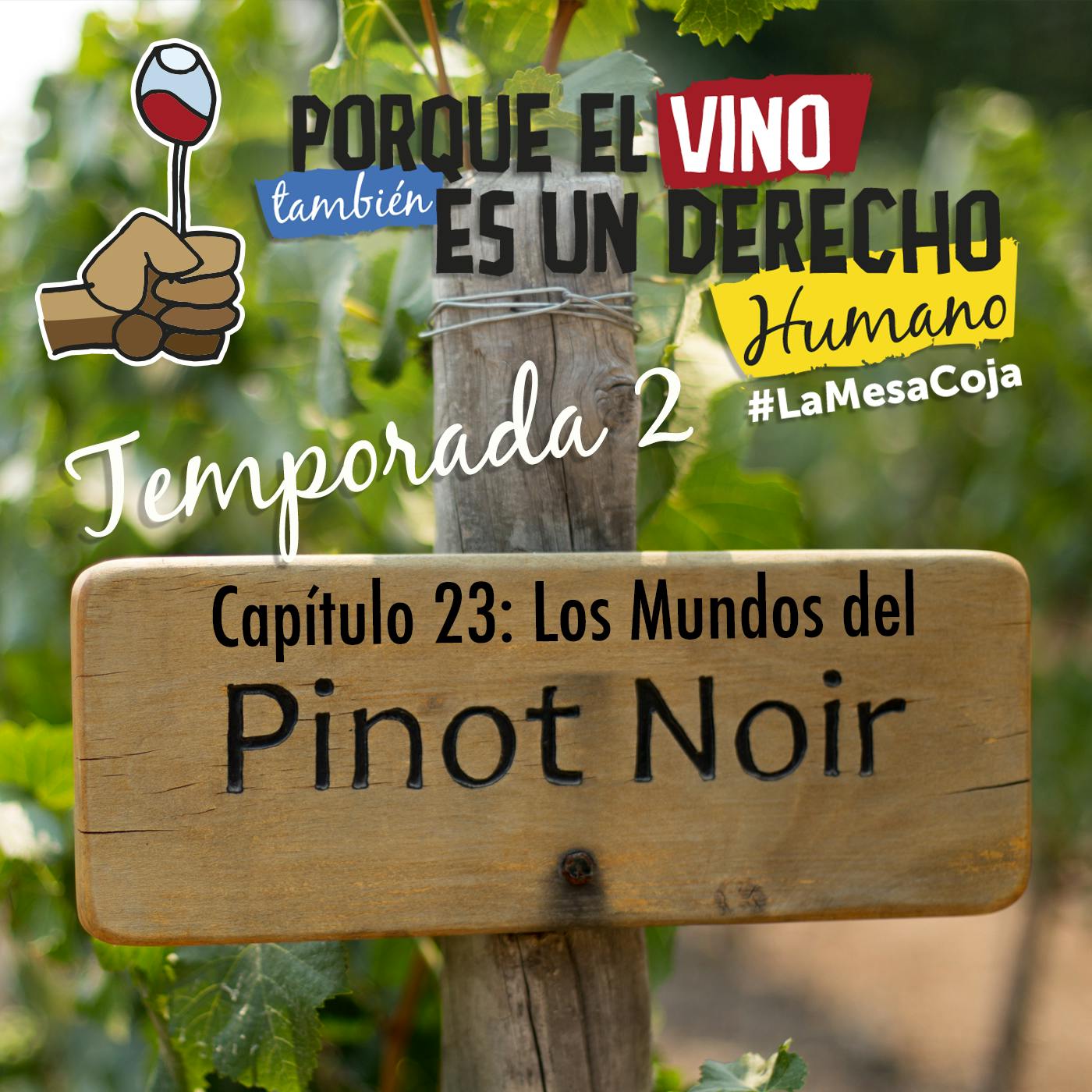 Los Mundos del Pinot Noir
