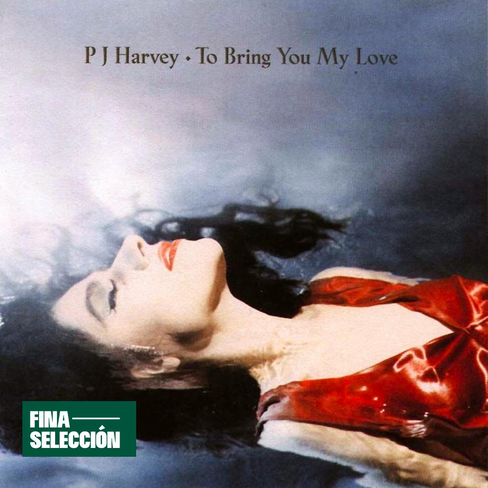 PJ Harvey - To Bring You My Love