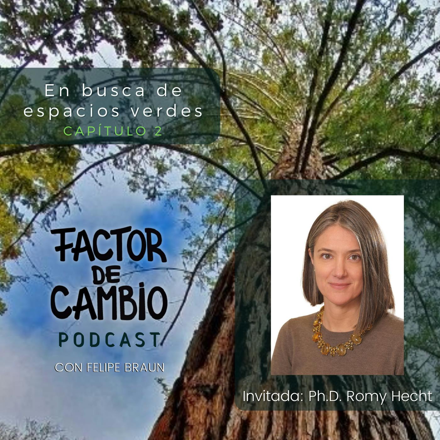 En Busca de Espacios Verdes