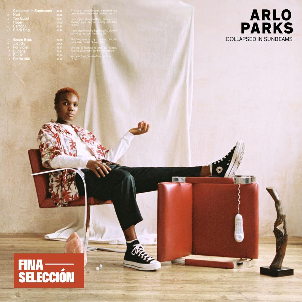 Arlo Parks - Collapsed in Sunbeams