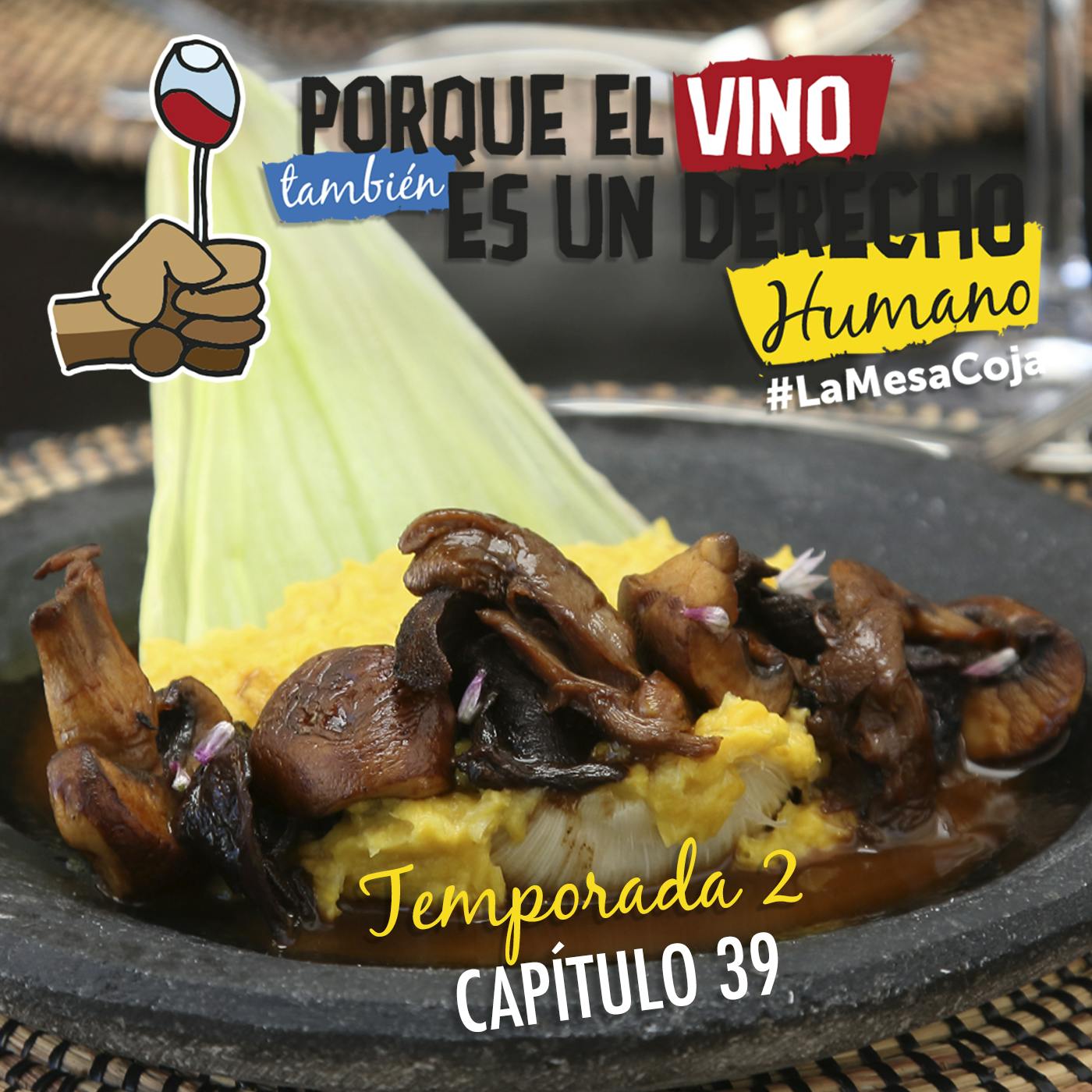 Vinos y Champiñones
