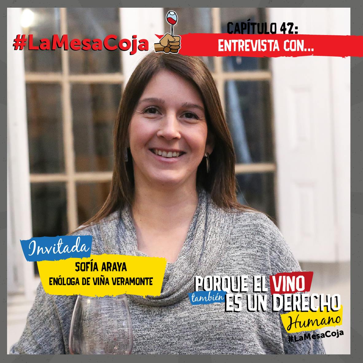 Entrevista a Sofía Araya