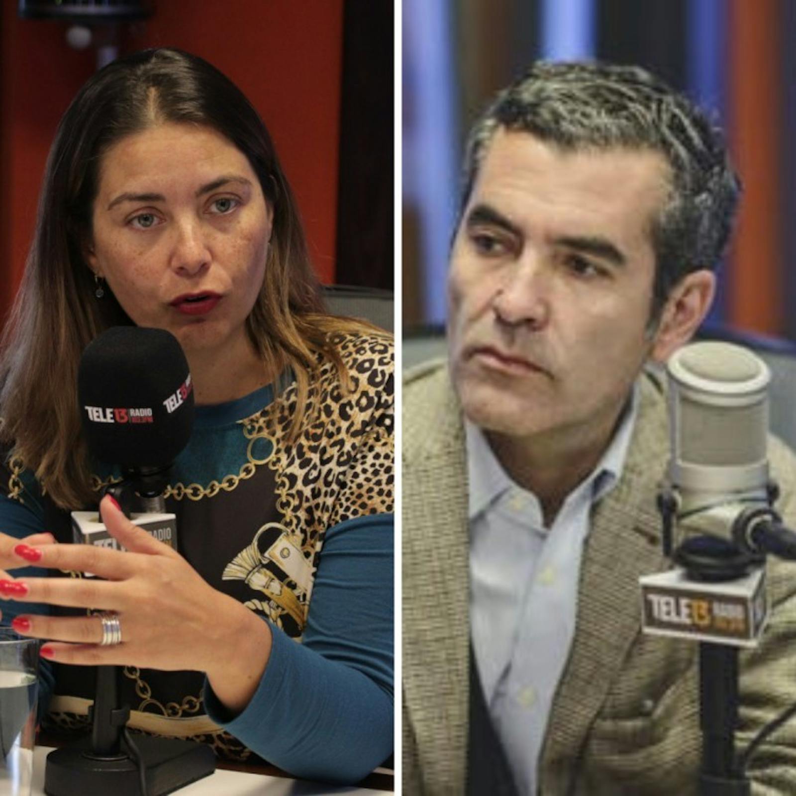 Columnistas Página 13