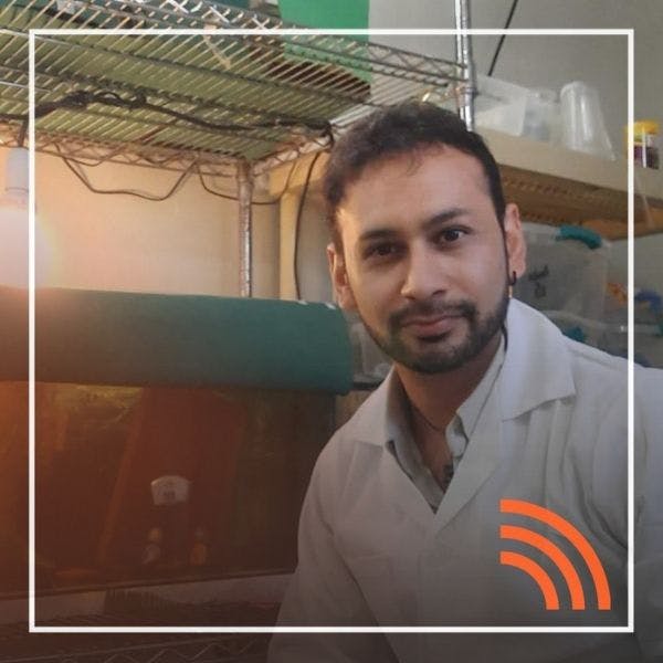 Osvaldo Cabeza y la rehabilitación de reptiles y anfibios en Chile