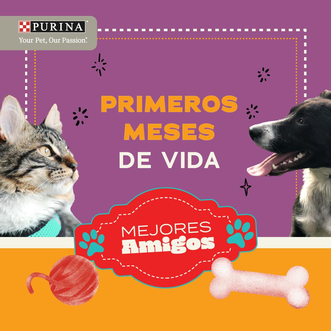 Primeros Meses de Vida